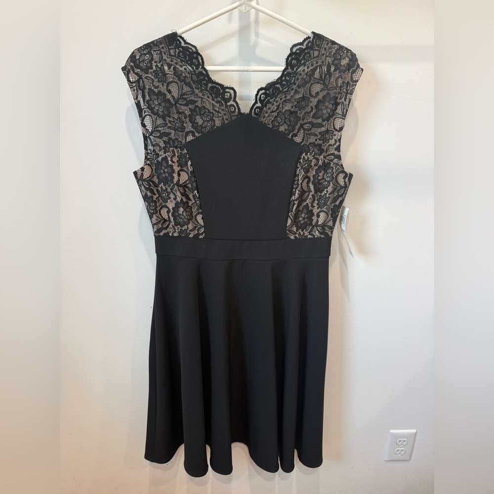 London Times Black Mini Dress with Beige Lace Insets Size 12